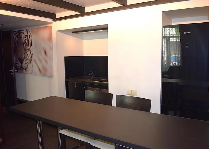 Bostona Flat Apartman Vilnius