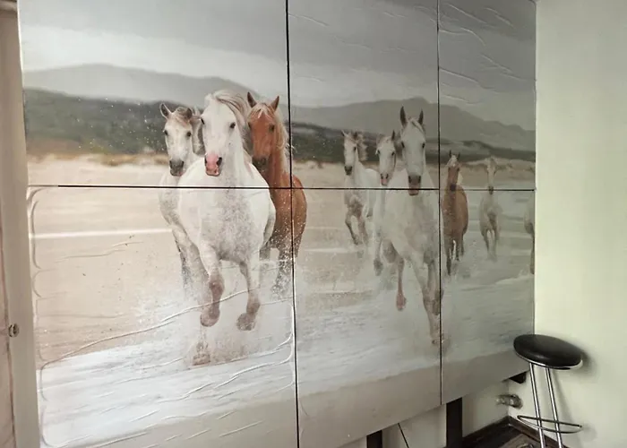 Bostona Flat Vilnius