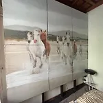 Bostona Flat Vilnius