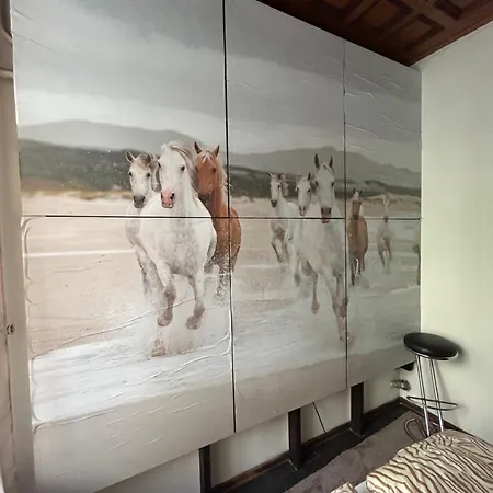 Bostona Flat Vilnius